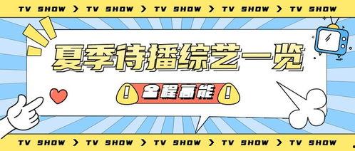 娱乐吃瓜蜀黍广告图片,揭秘明星幕后故事，带你领略娱乐圈风云变幻